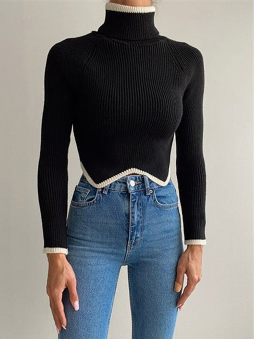Women Crown Turtleneck Sweater - Nxt Moda