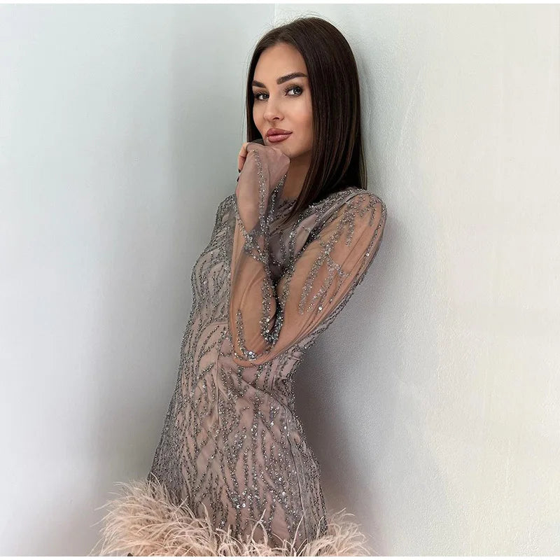 Feather Sequins Mini Sheer Dress
