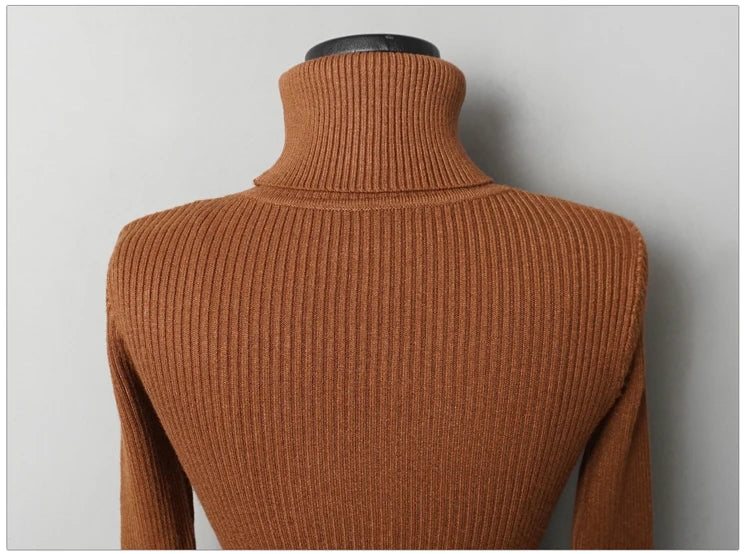 Turtleneck Knit Bodycon Mini Long Sleeve Winter Dress