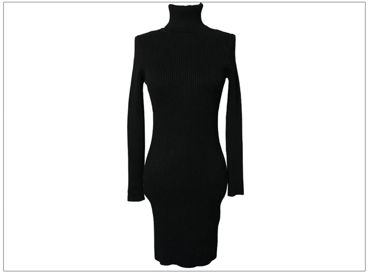 Turtleneck Knit Bodycon Mini Long Sleeve Winter Dress