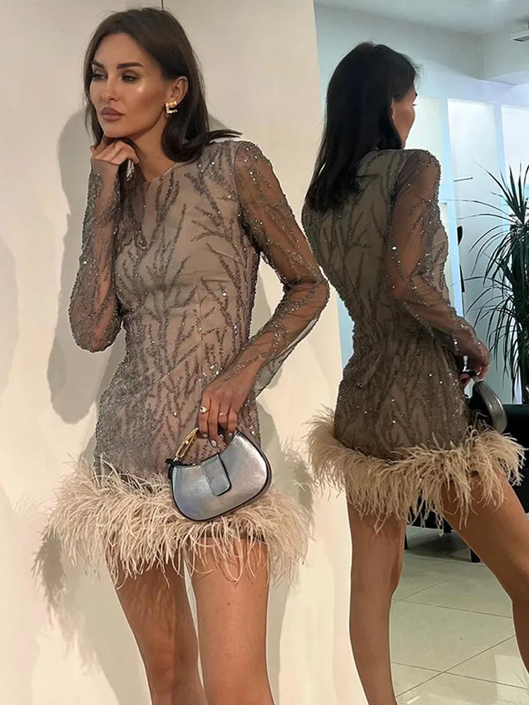 Feather Sequins Partywear Mini Dress Mesh Sheer Long Sleeve