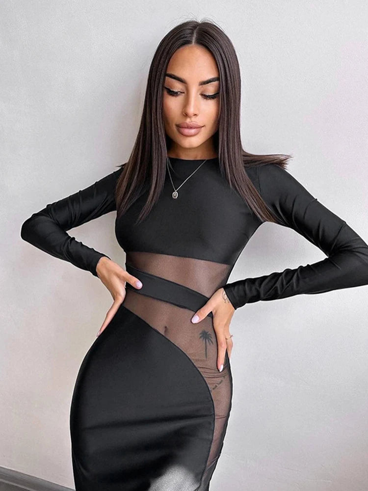 Elegant Directional Design Mesh Splicing Long Sleeve Tight Dress